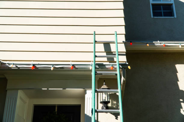 Best Hoarding Cleanup  in East Flat Rock, NC